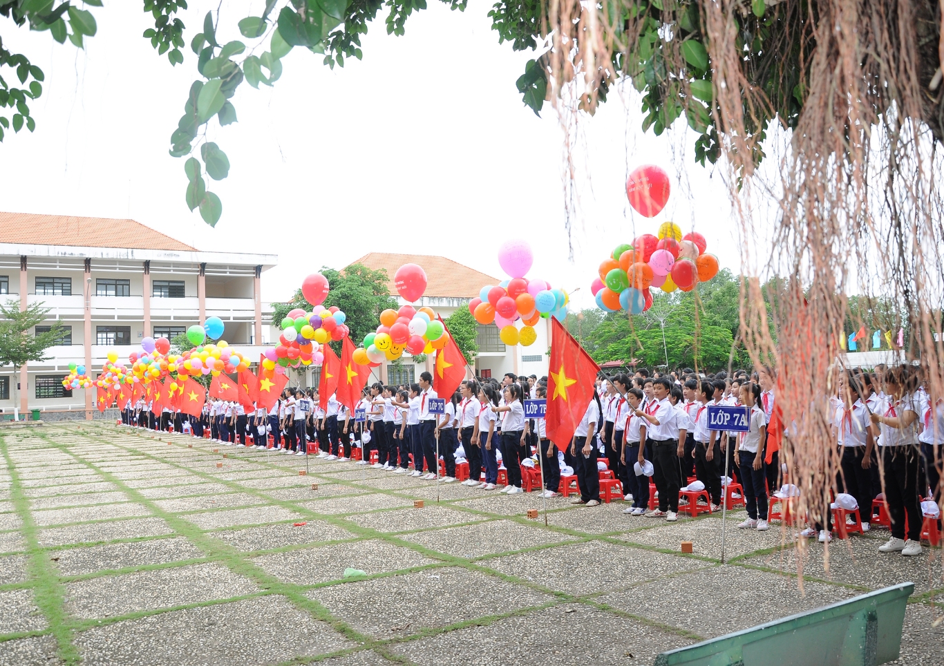 Hình ảnh
