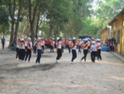 11036610.jpg