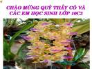 Bài 27. Sự bảo toàn năng lượng trong các hiện tượng cơ và nhiệt