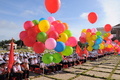 6651699.jpg