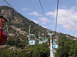 7007981.jpg