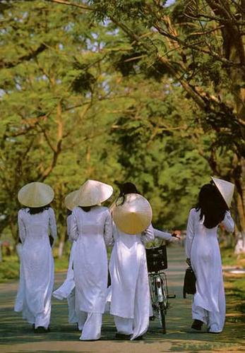 aodai3_500