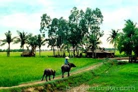 images_09