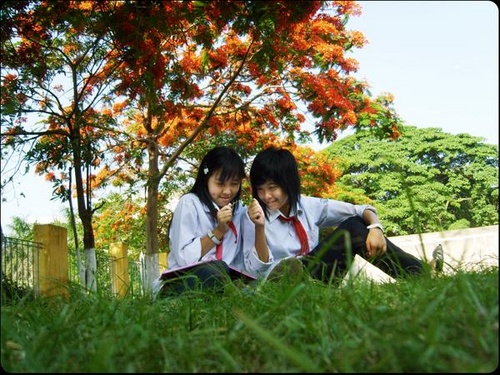 thuha764_naha_2351_500