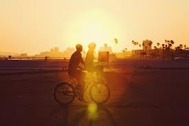 images_15