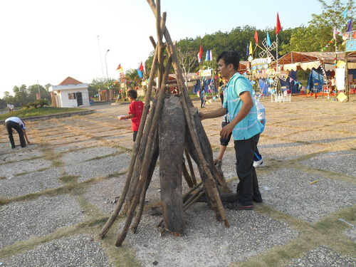 dscn3365_500